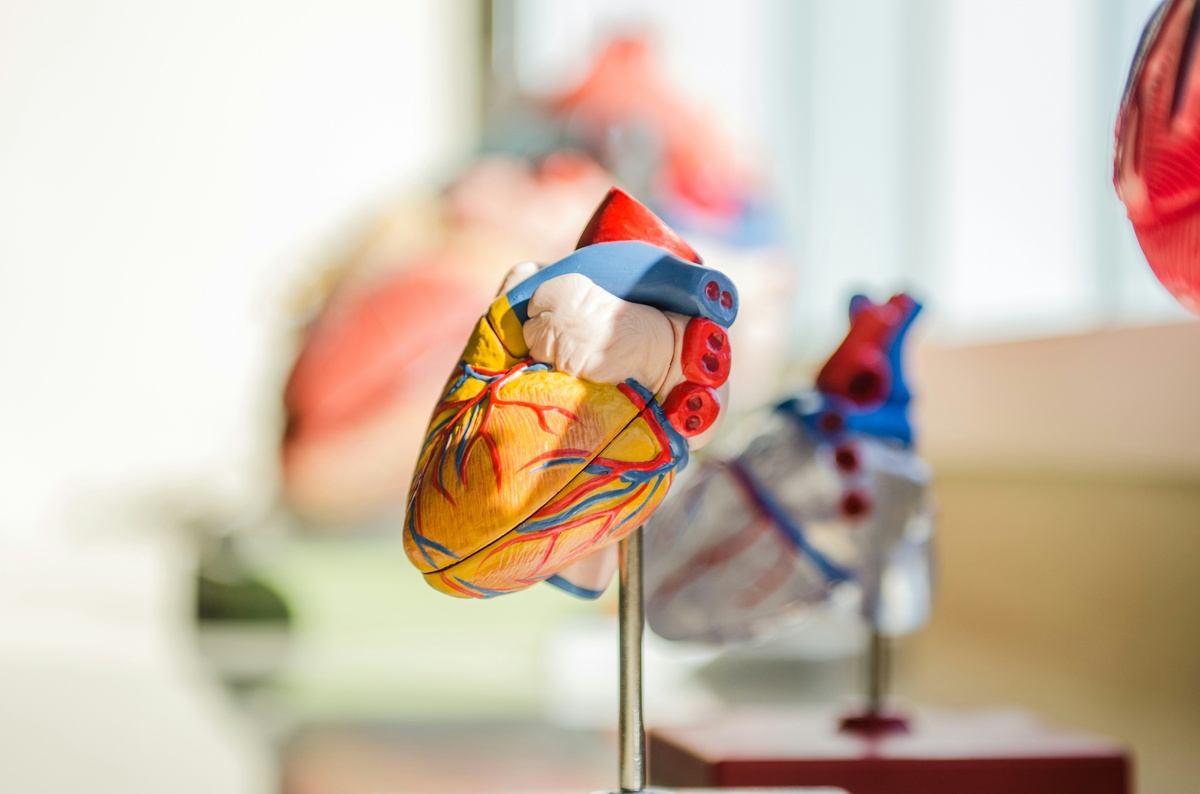 Cardiovascular Medical Devices